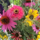 Assorted colorful flowers in vibrant watercolor painting