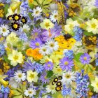 Multicolored Flowers in Yellow, Purple, Blue, and Orange Bouquet