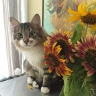 Grey and White Cat with Sunflowers in Van Gogh Style