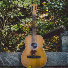 Classic Guitar Among Greenery and Yellow Flowers with Dark Patterns