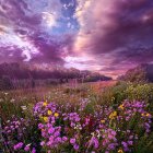 Colorful impressionist painting of wildflower meadow at sunset