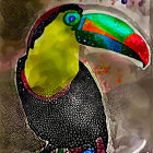 Vibrant toucan art with colorful beak and feathers