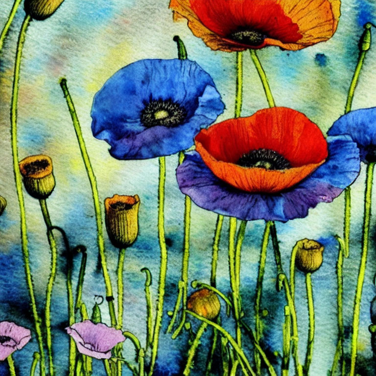 Colorful Watercolor Painting of Poppy Flowers in Blue, Red, Purple, and Green