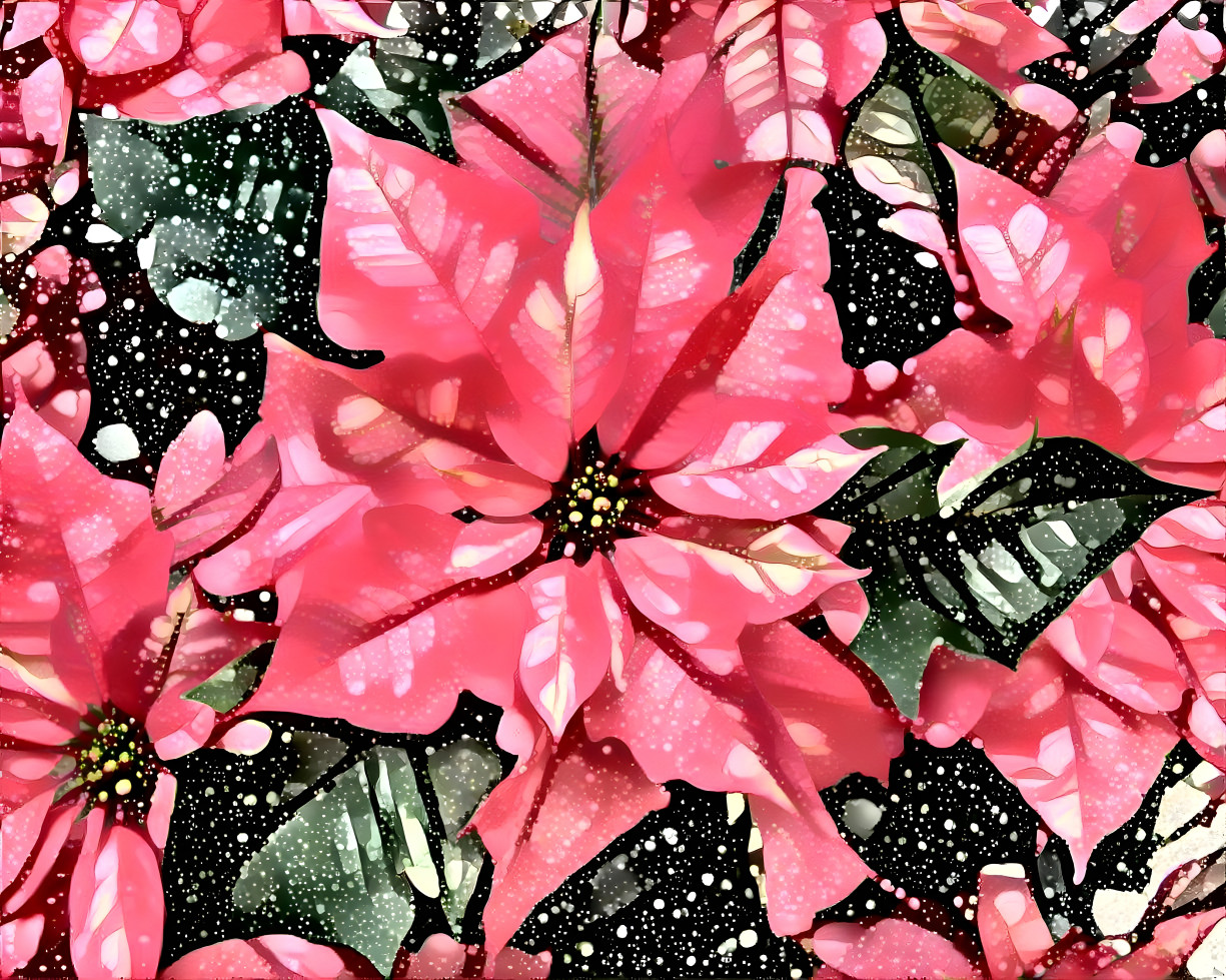 Poinsettia in the Snow