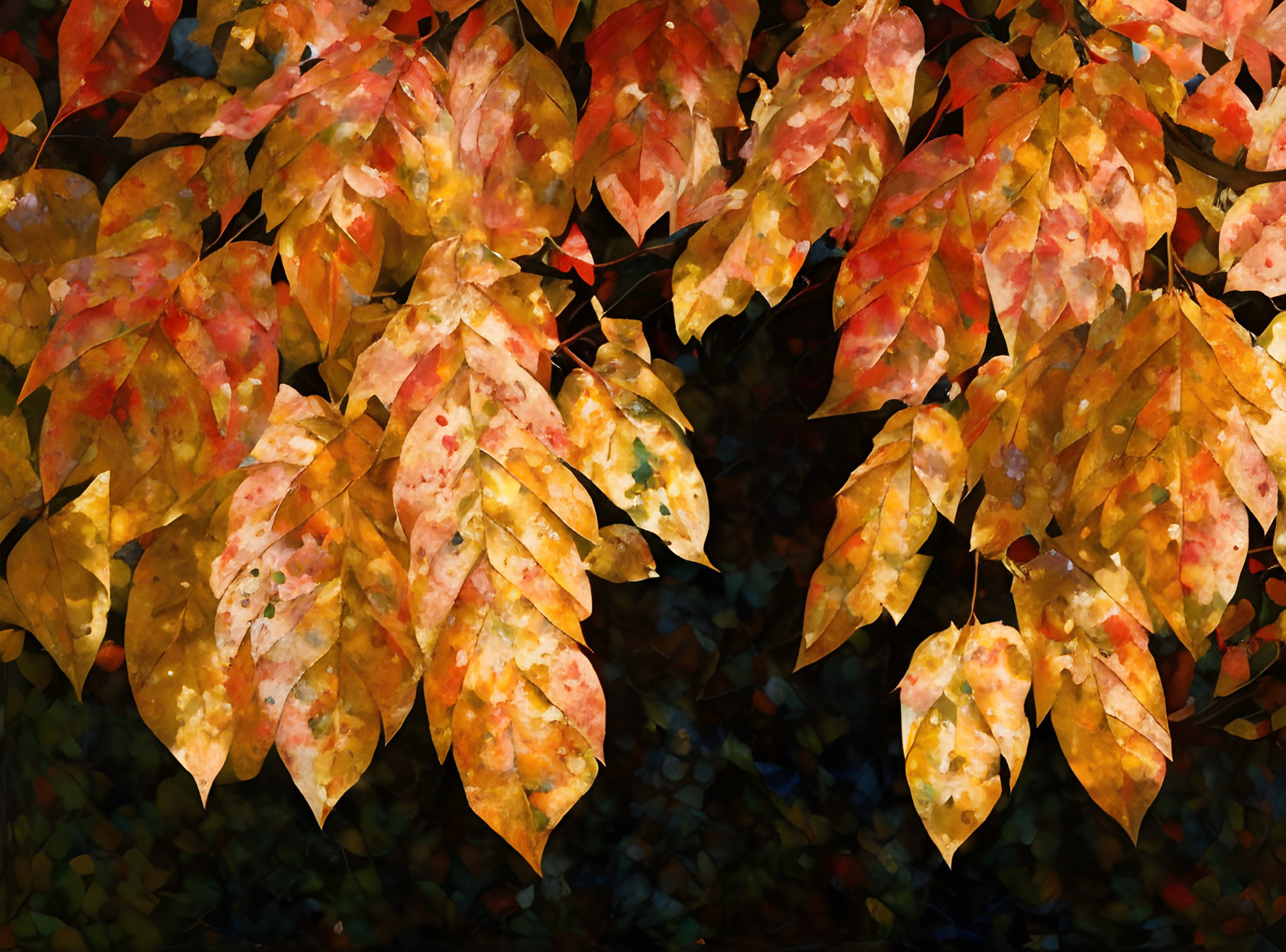 Vibrant Autumn Leaves in Red, Yellow, and Orange Against Dark Background