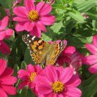 Vibrant monarch butterfly on pink flower in colorful digital art