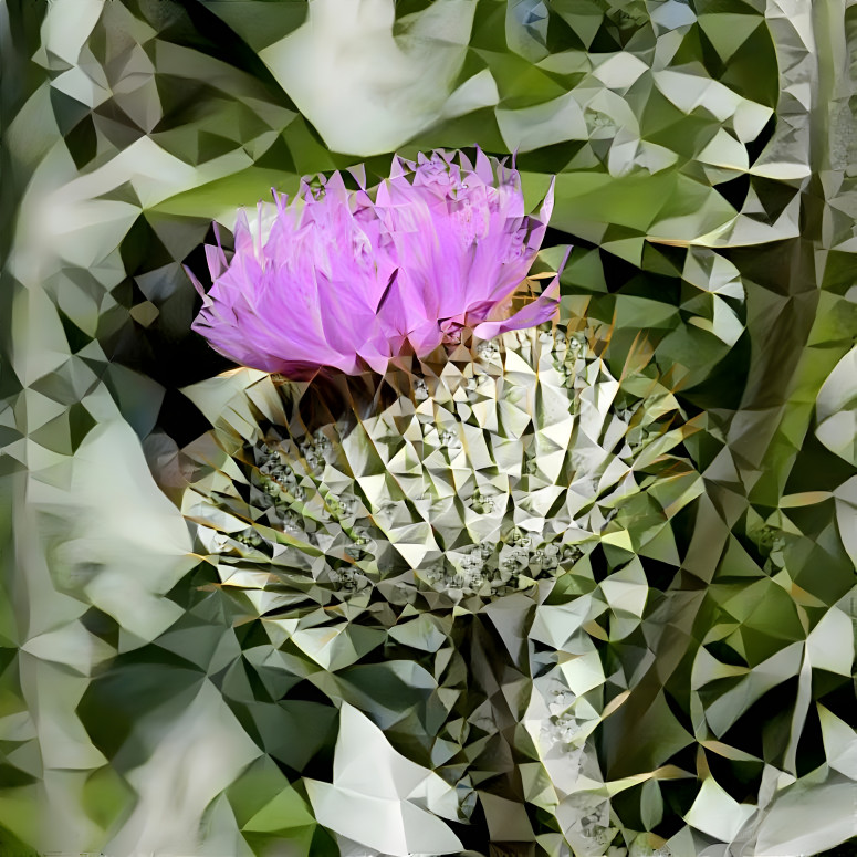 Hidden Thistle