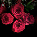 Bright orange and pink flowers with visible stamens on dark background