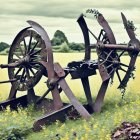 Vibrant countryside field with rustic wooden carts