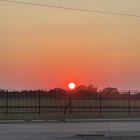 Surreal landscape with oversized shell-like structures under orange sky