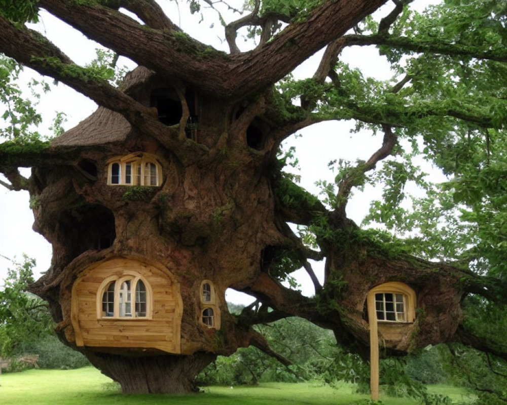 Whimsical treehouse with round windows in lush green meadow