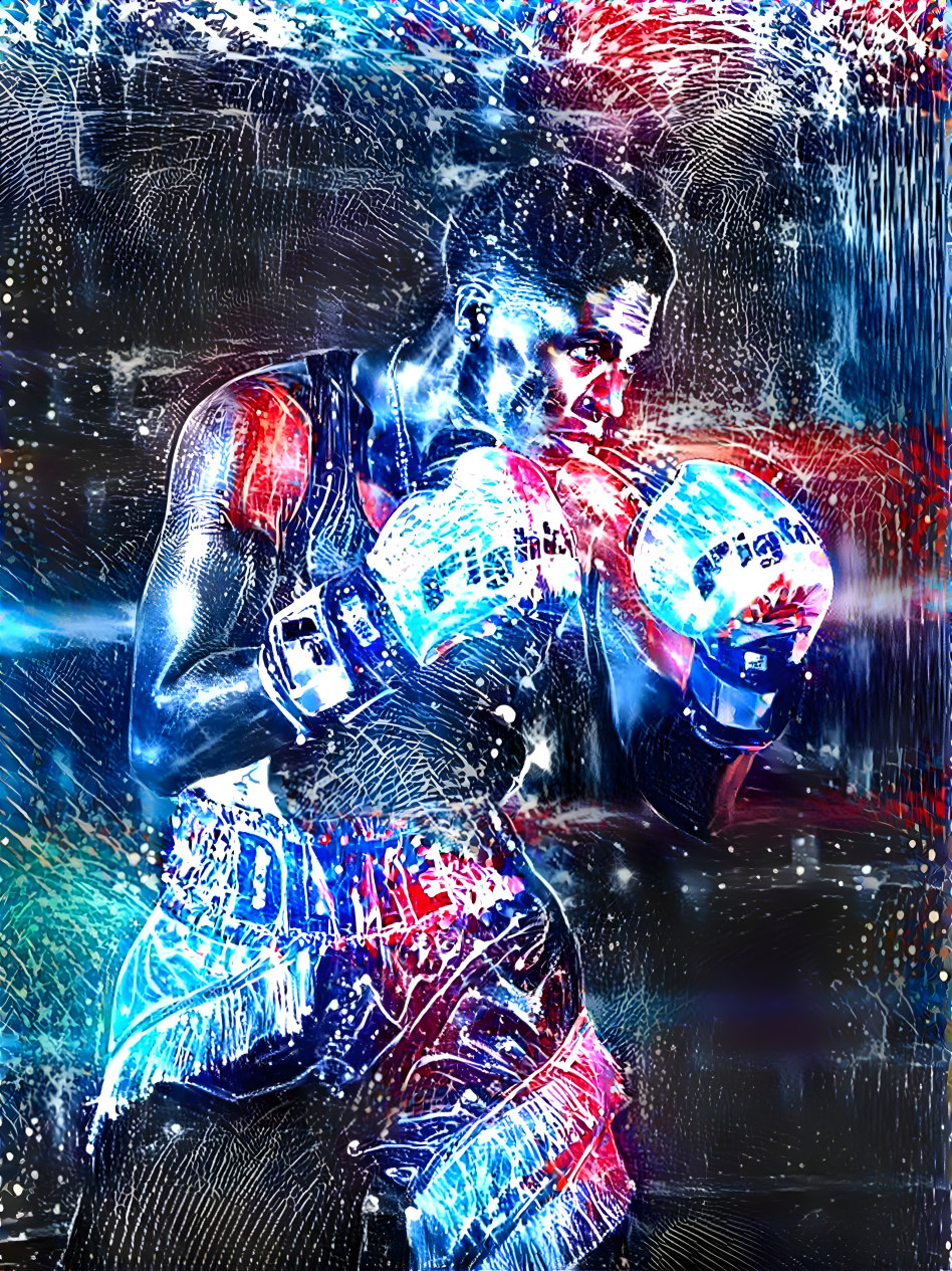 The Boxer