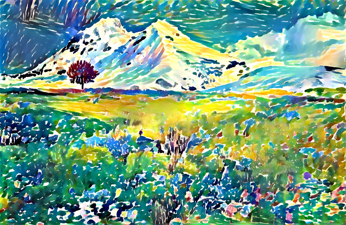 Alpine Meadow