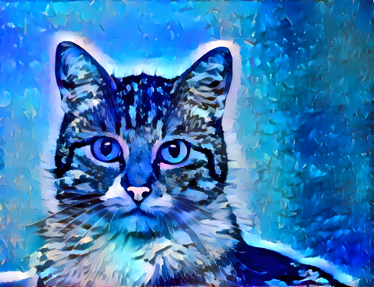 Chat Bleu