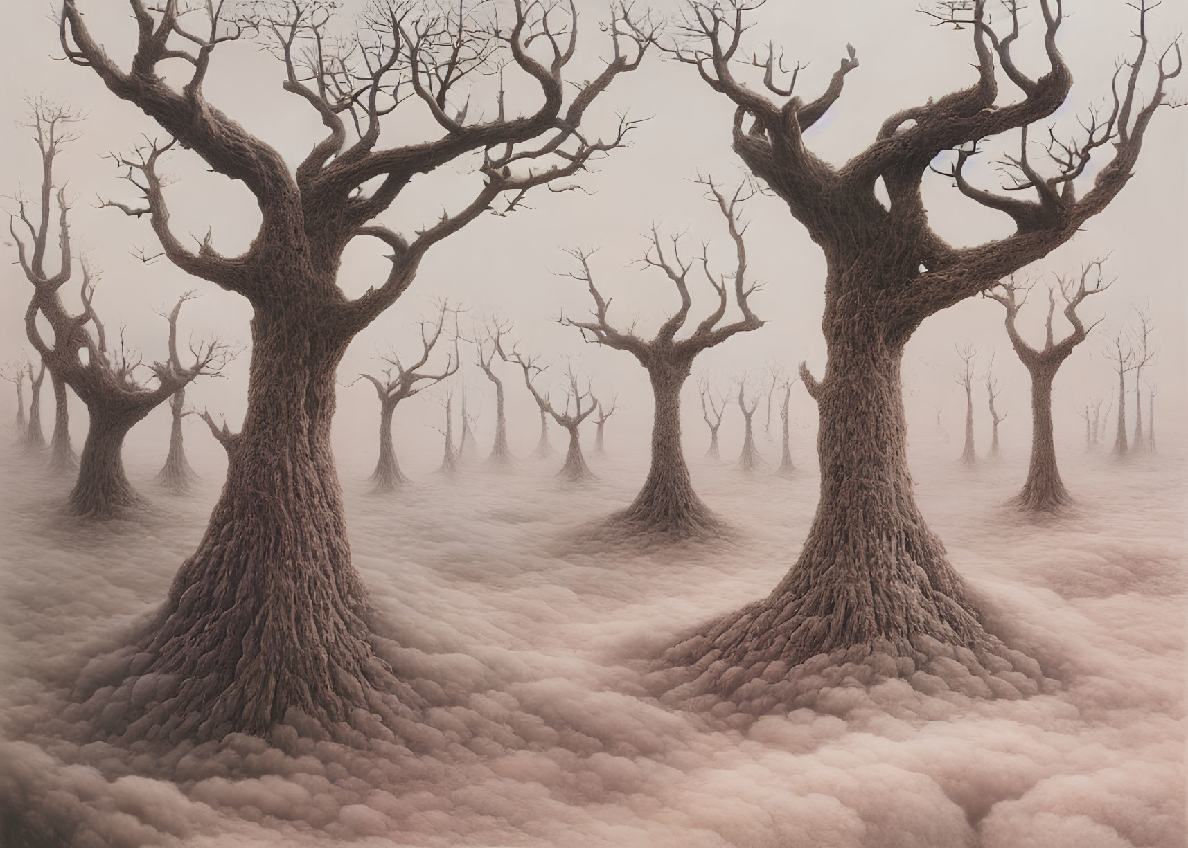 Twisted leafless trees on pinkish-white foggy ground
