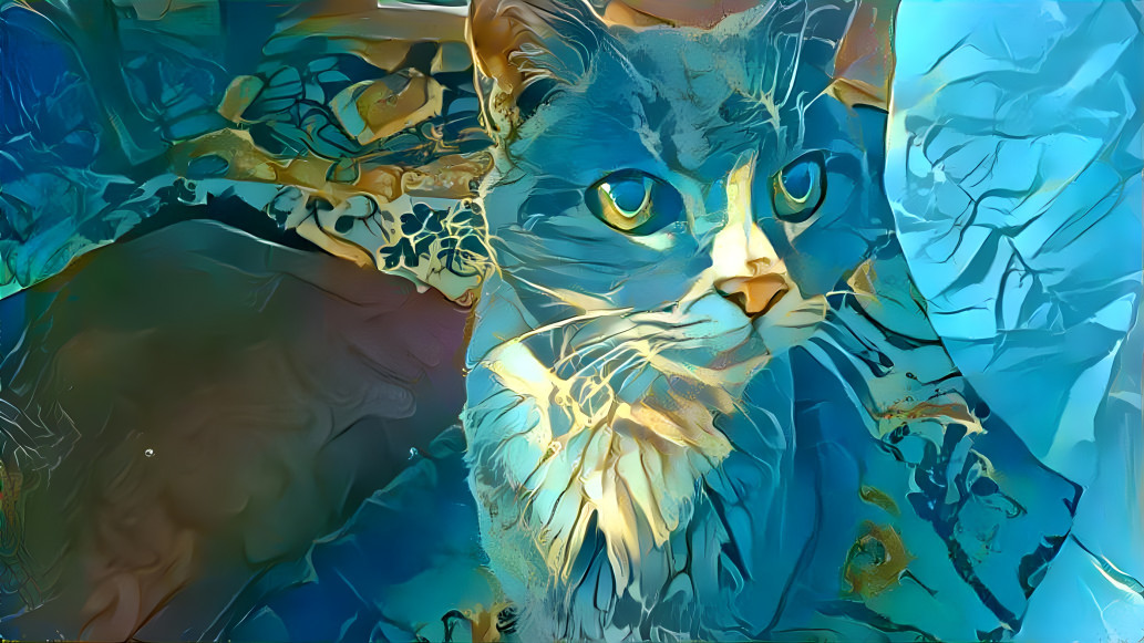 Blue cat