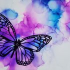 Colorful butterfly on purple flowers against white background