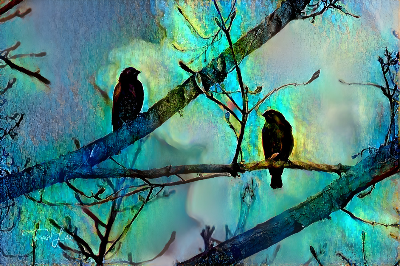 Birds at Dusk