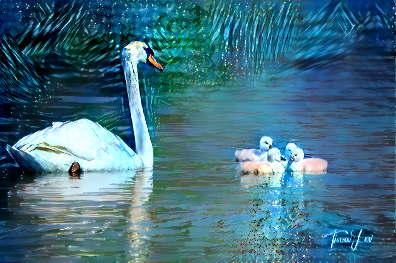 Mama Swan Keeping Watch over her Cygnets