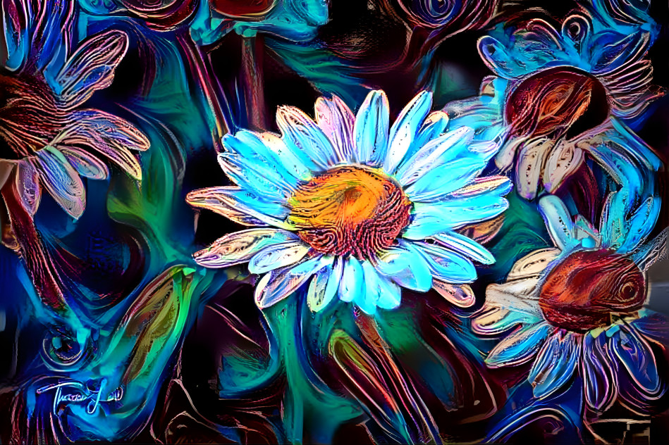 Dancing Daisies