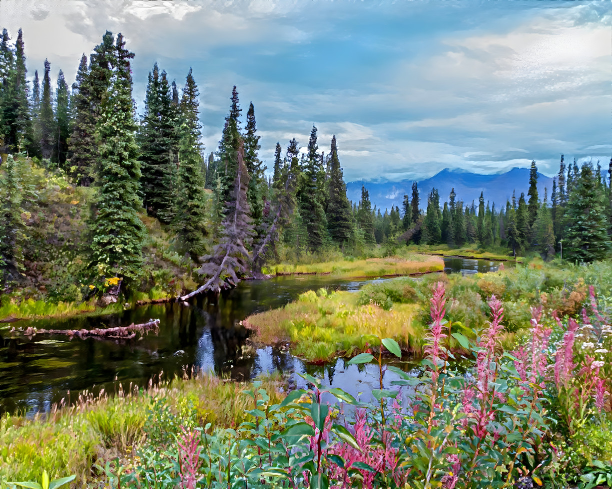 Alaskan Wilderness