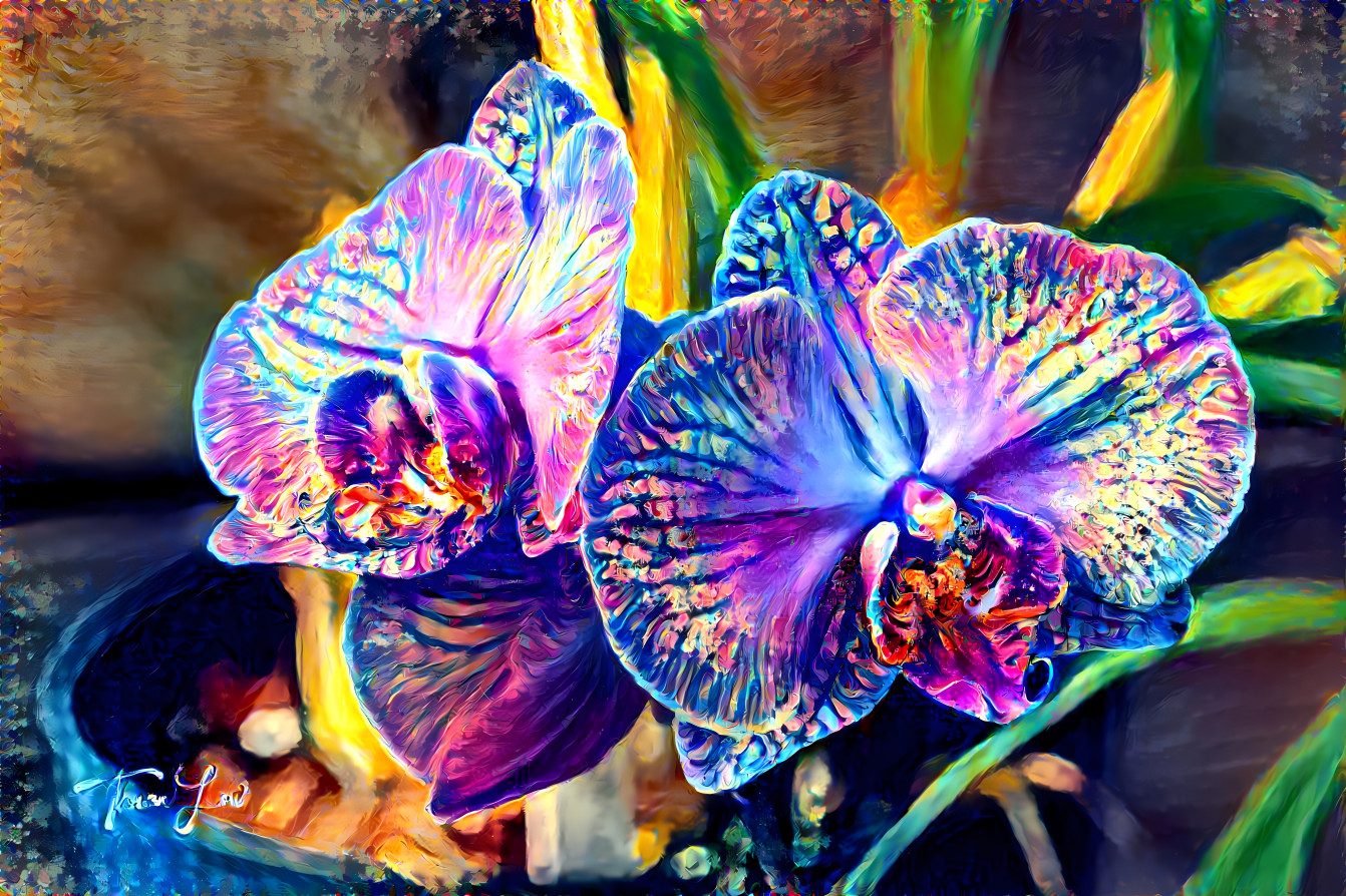 Purple Orchids