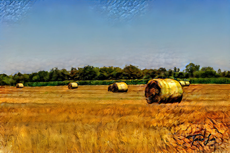 Hay Bales in Rural Illinois