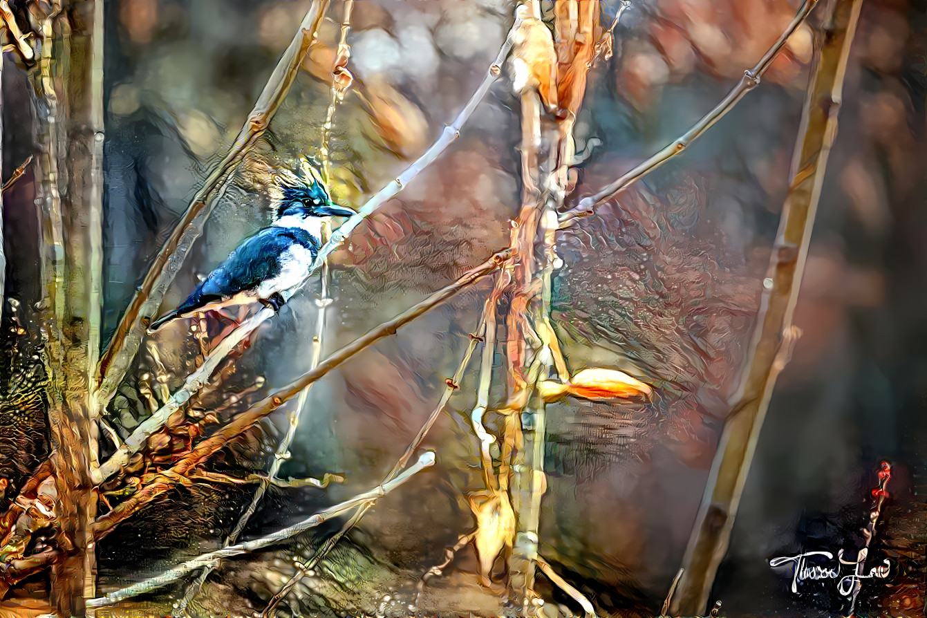 Kingfisher