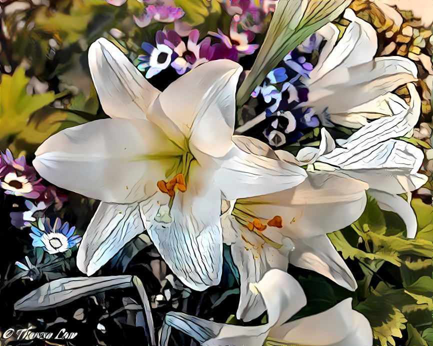 Easter Lillies