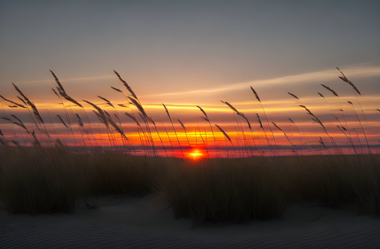 Tranquil Sunset Scene on Sandy Beach