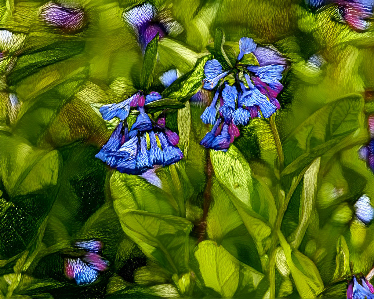 Virginia Bluebells