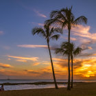 Colorful Tropical Sunset Painting with Palm Trees and Ocean Waves