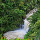 Colorful Stream Painting with Waterfall and Lush Flora