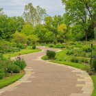 Colorful Flower-Lined Path to Quaint Cottage in Serene Landscape