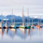 Panoramic painting of sailboats on glassy water with vibrant hulls