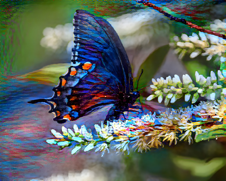 Eastern Tiger Swallowtail