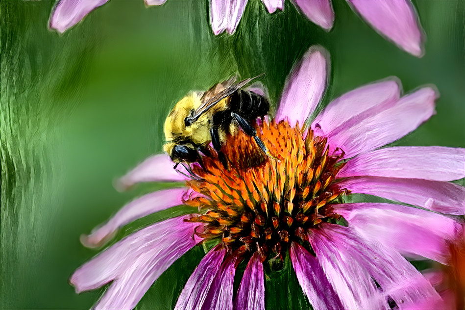 Pollinator 