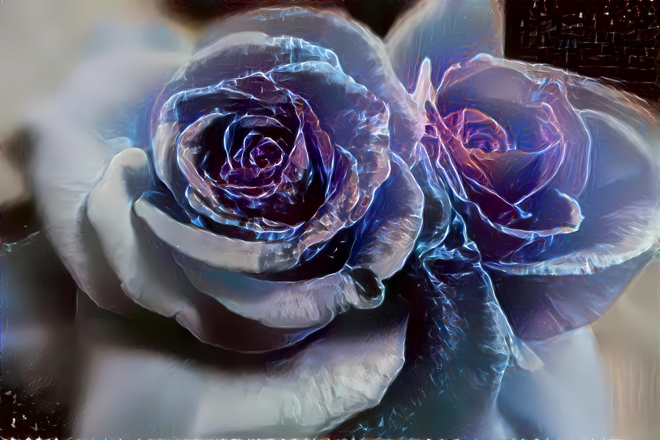 Blue Roses