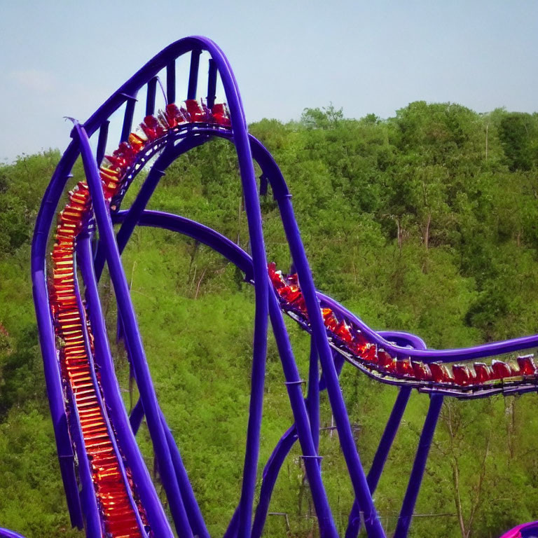 Purple roller coaster train inverting at vertical loop with riders, green trees, clear sky