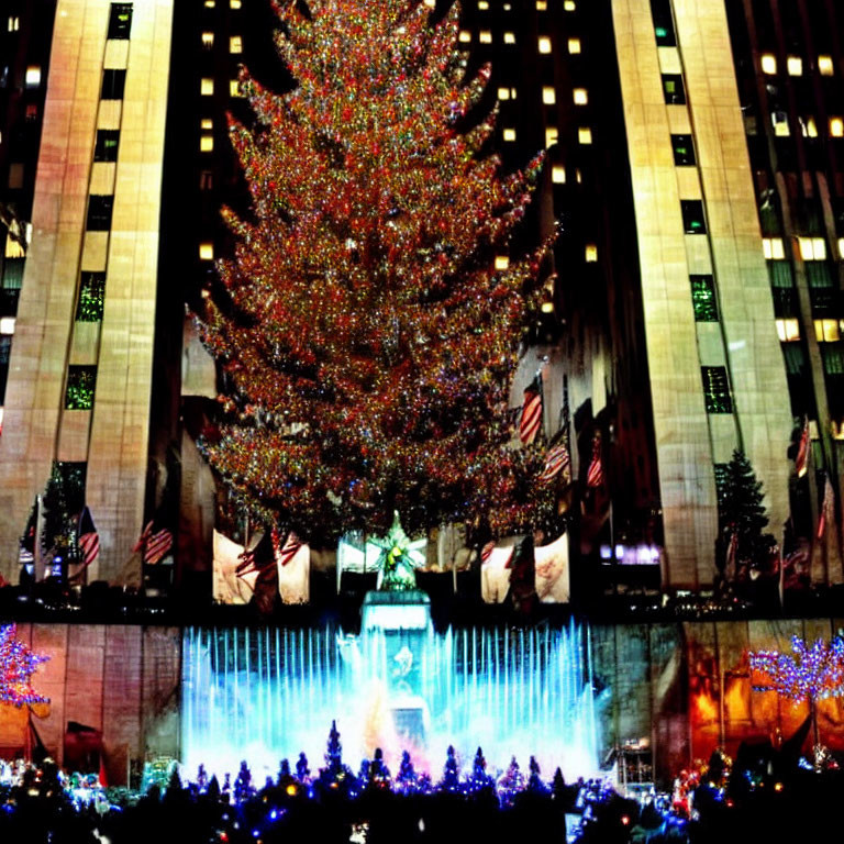 Brightly lit Christmas tree in front of building with lights, smaller trees, and American flags