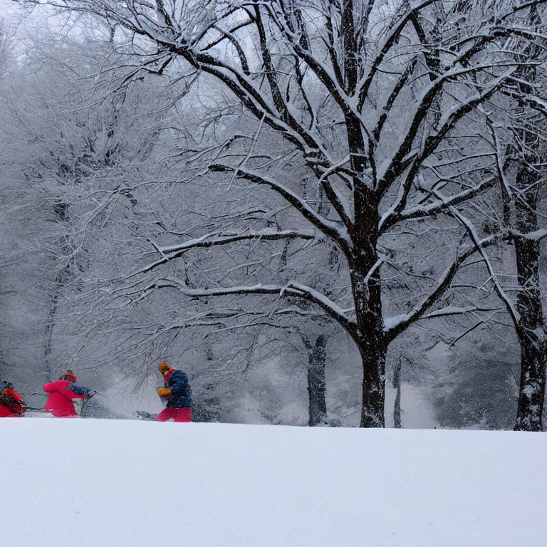 Three individuals in colorful winter attire walking in snowy landscape.