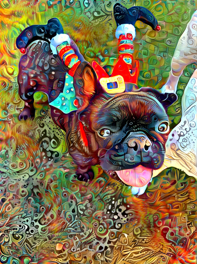 Christmas Frenchie