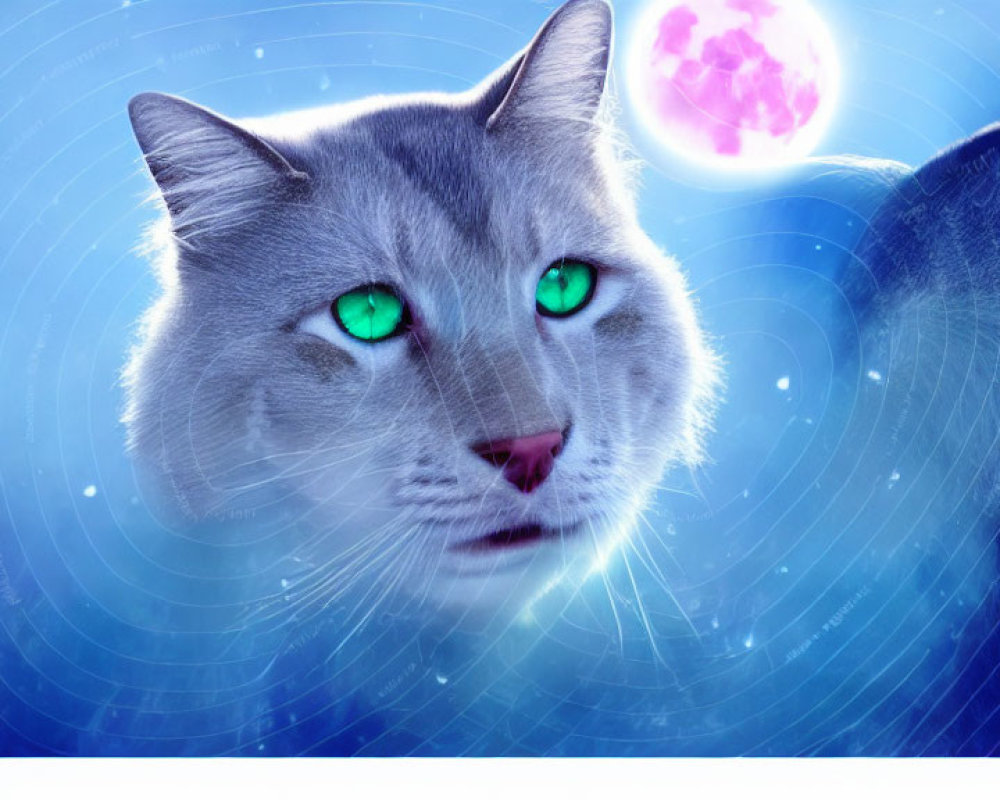 Digitally created image: massive cat face with green eyes in cosmic setting.