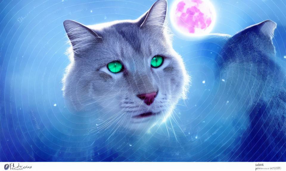 Digitally created image: massive cat face with green eyes in cosmic setting.