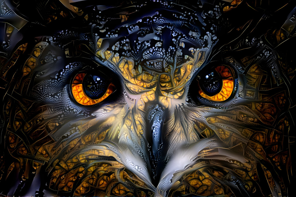 owl