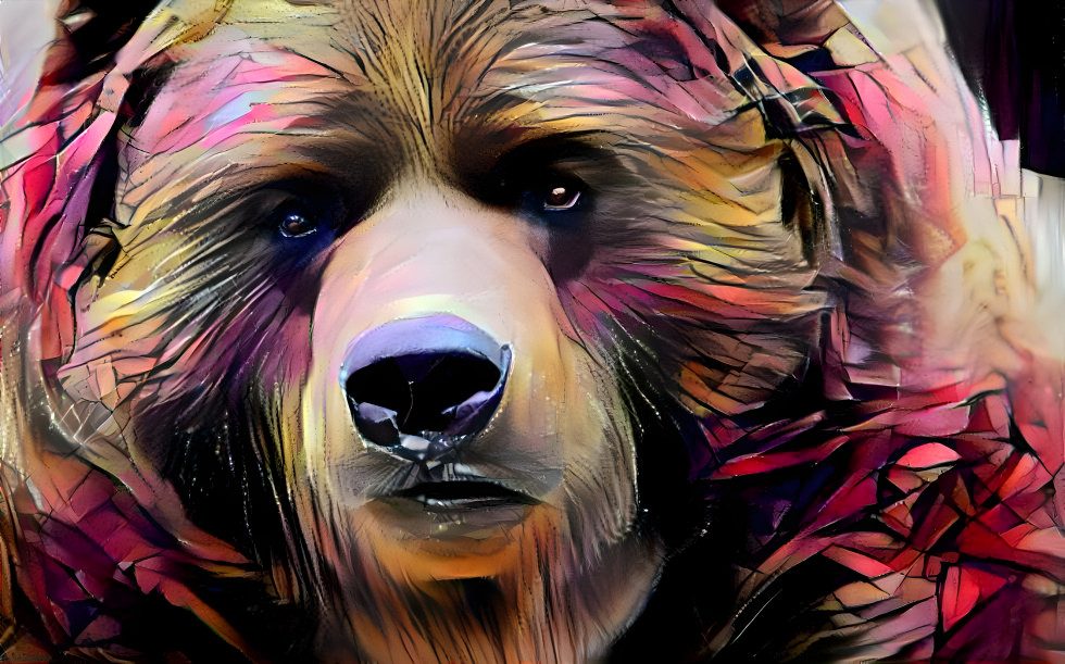 Bear