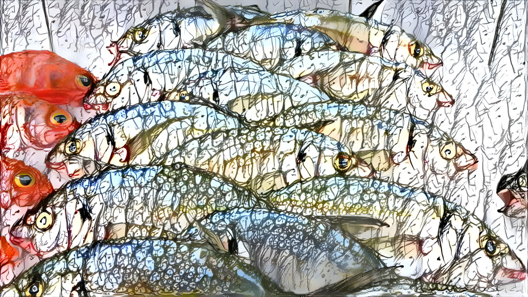 Fish and Faces