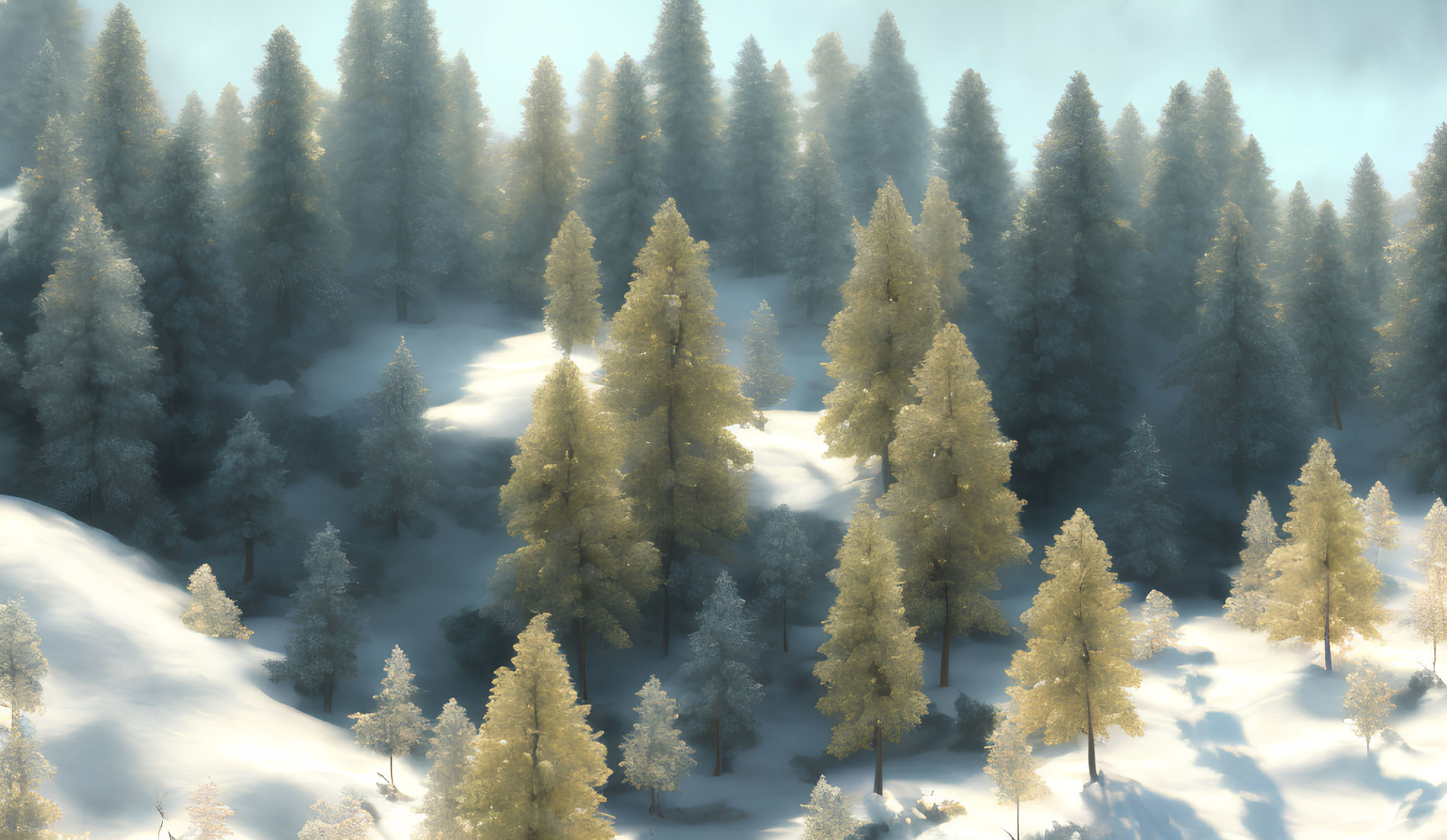 Snow-covered Winter Forest with Evergreen Trees in Soft Sunlight