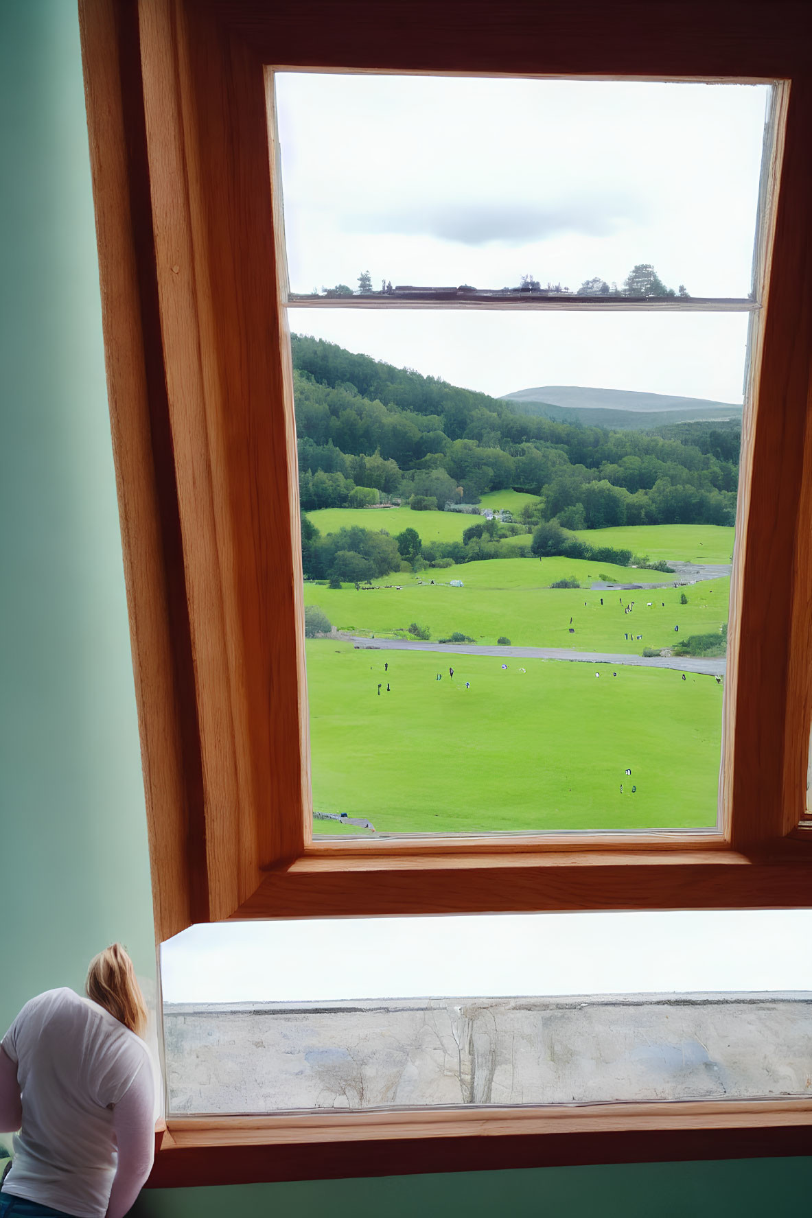 Person looking out large window at lush green landscape with scattered trees and distant hills under partly cloudy sky