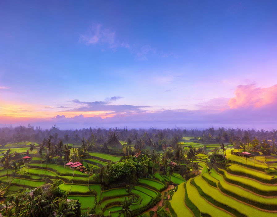 Scenic sunrise over lush rice terraces and small buildings